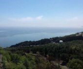 Продажа земельного участка в Крыму город Алушта р-он Дельфина 3.5га